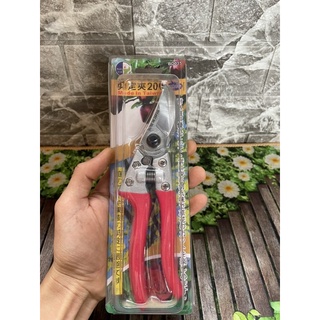 Kéo cắt cành buddy bd035