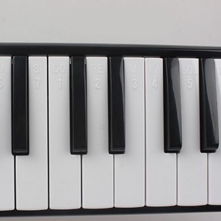 Kèn Harmonica 32 / 37 phím đàn Piano chuyên dụng