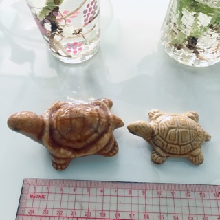 Rùa nhỏ trang trí bể cá