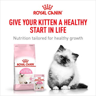 Thức ăn mèo canin kitten 2kg
