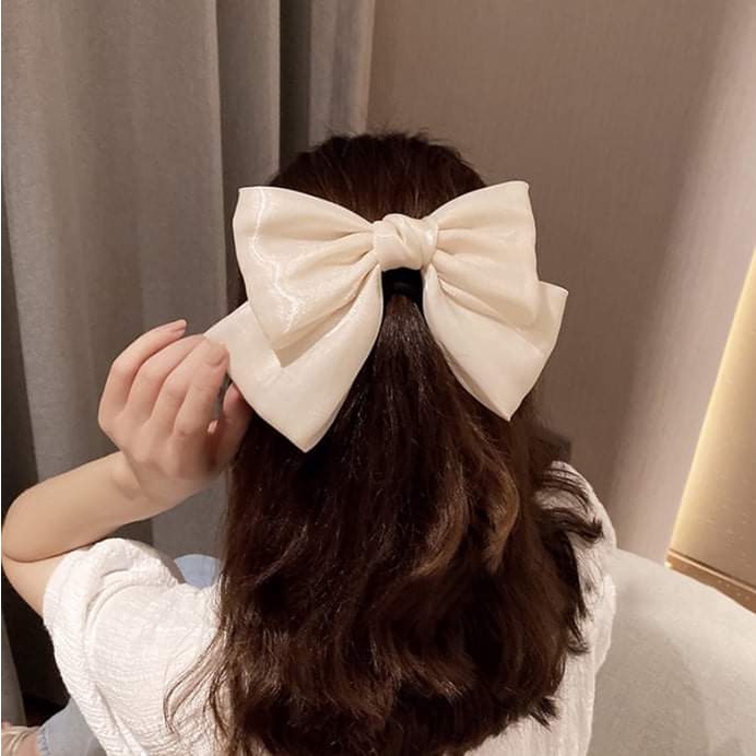 Kẹp tóc , Cặp tóc hình bướm to chuẩn fom nhiều màu cực xinh