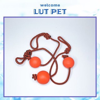 Bóng đồ chơi cho chó mèo - banh cao su có dây huấn luyên chó mèo