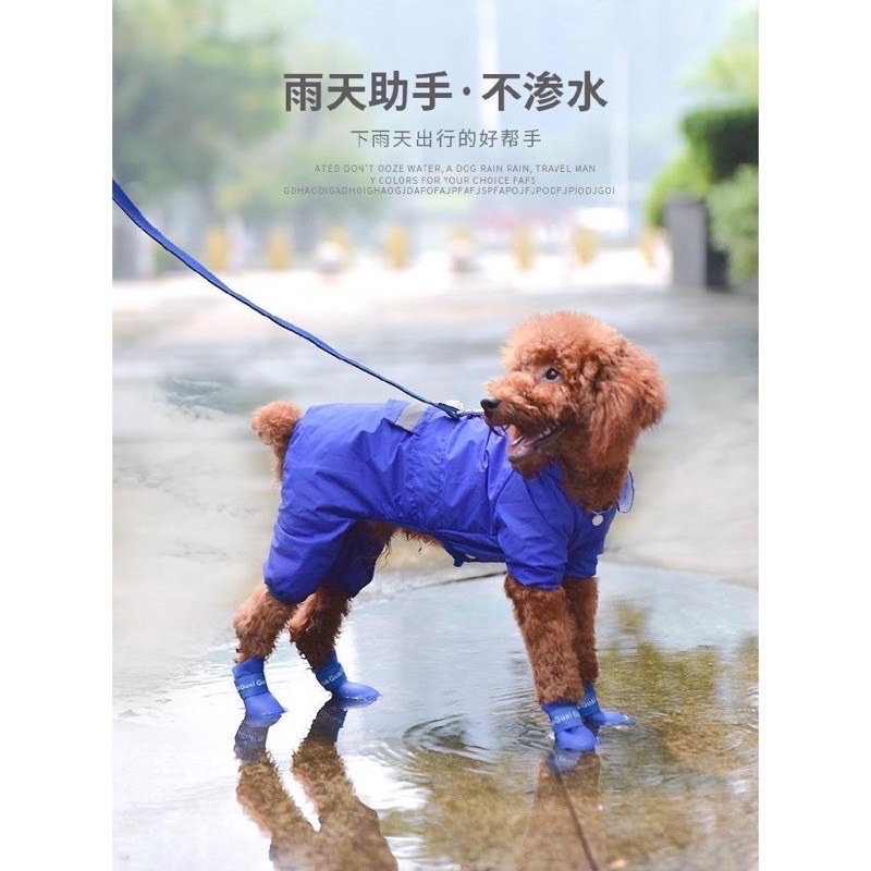 Giày silicone đi nắng, đi mưa cho chó mèo