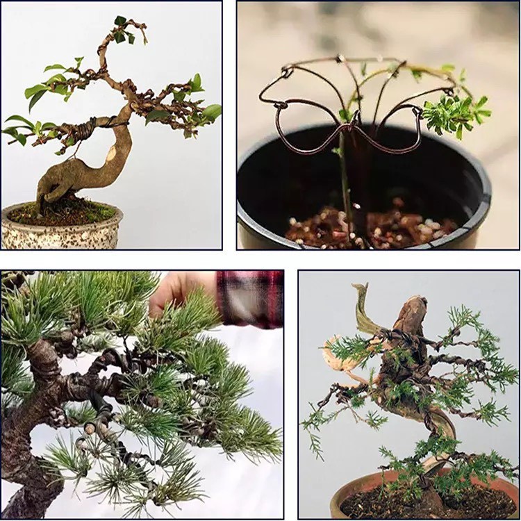 1kg DÂY NHÔM UỐN CÂY CẢNH - DÂY NHÔM UỐN CÂY BONSAI