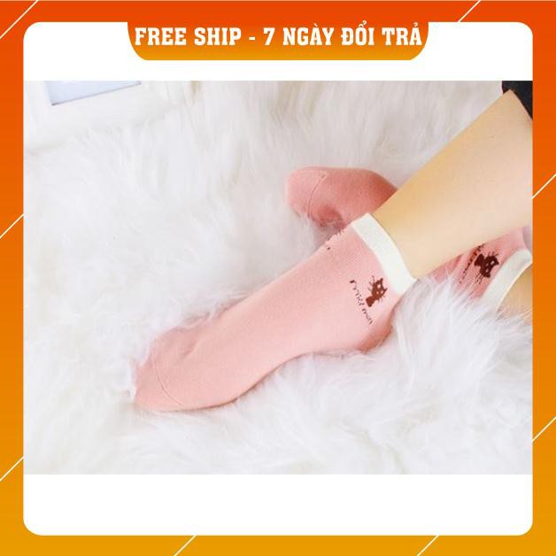 Set 10 đôi tất chống hôi chân Miu Miu