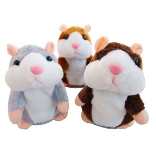 Chuột hamster biết nói người bạn đáng yêu của bé