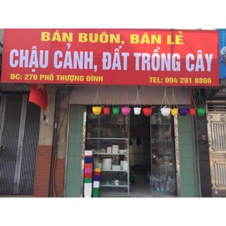 Chậu Cây Cảnh Muối Muối