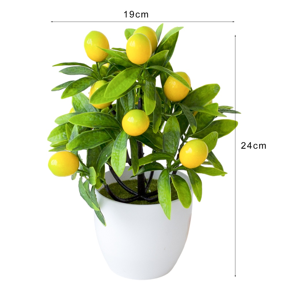 Chậu Cây Cảnh Giả Bằng Nhựa 12 Lưới Để Bàn Trang Trí