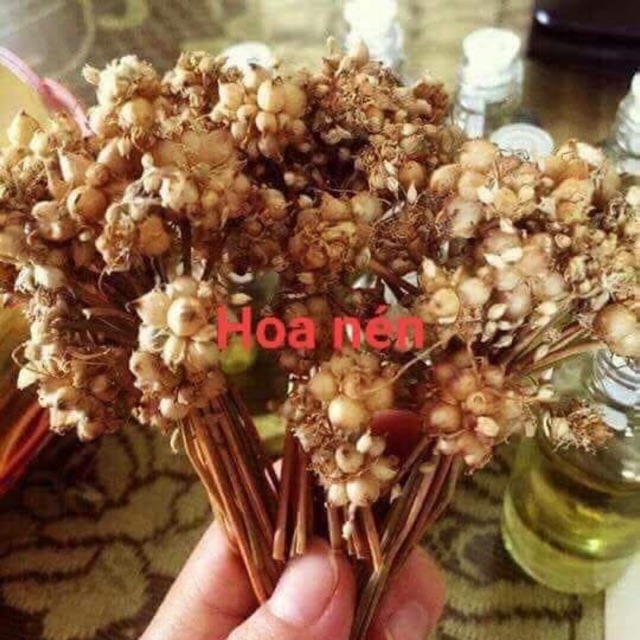 Dầu tràm hoa nén