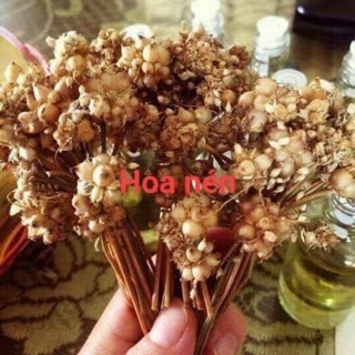 Dầu tràm hoa nén