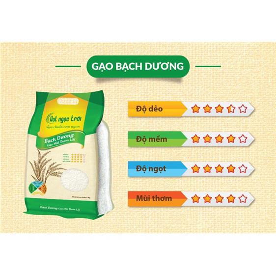 Gạo Hạt Ngọc Trời Bạch Dương túi 5kg - gạo trắng hạt dài dẻo vừa thơm lài