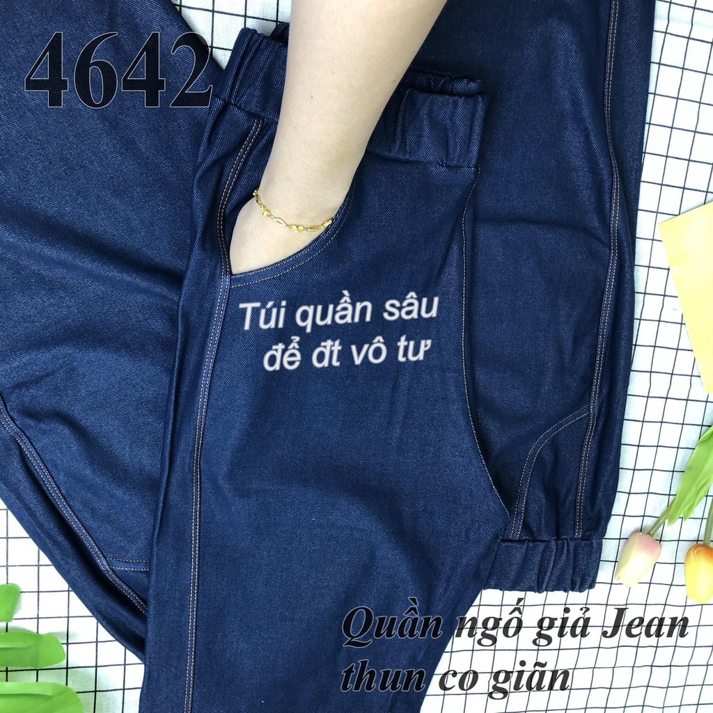 4642 Quần ngố BIG SIZE Jean trơn