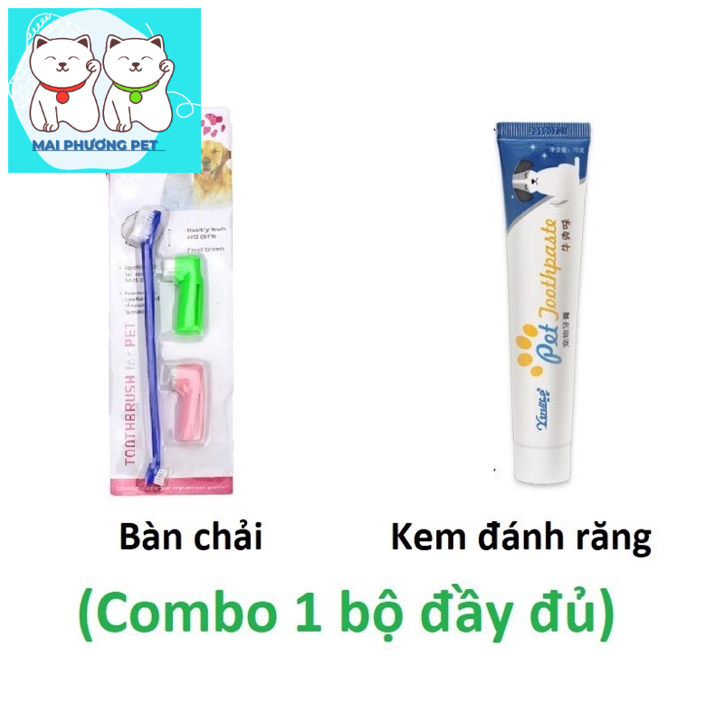 Bàn chải và kem đánh răng cho thú cưng giúp răng miệng thơm tho hết thối mồm