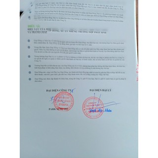 Nệm Bông Ép Cao Cấp  Everon Artemis