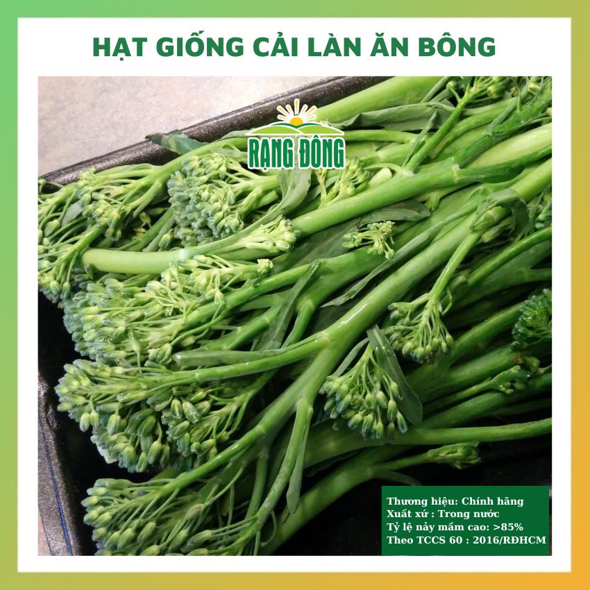 Hạt giống cải làn ăn bông (cải rổ) - rau củ quả chịu nhiệt 4 mùa tỉ lệ nảy mầm cao 5gr RADO0328