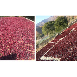 💥💥( 100G) TRÀ ATISO ĐỎ (HIBISCUS)