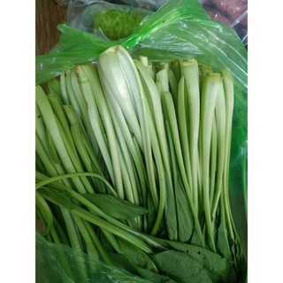 Rau Cải Thảo Đà Lạt