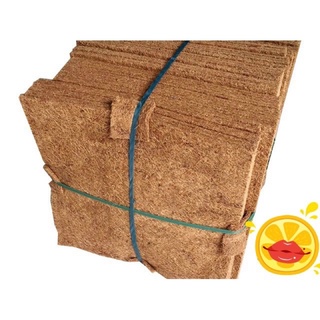 THẢM XƠ DỪA dùng lót chậu, trồng cây, làm đồ handmade, lót tổ thú cưng, khổ 50x50cm