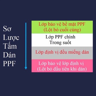 Miếng dán ppf mặt trước và sau sam sung Note20/Note20ultra/Note10/Note10plus/Note8/Note9/Note10 plus/Note20 plus