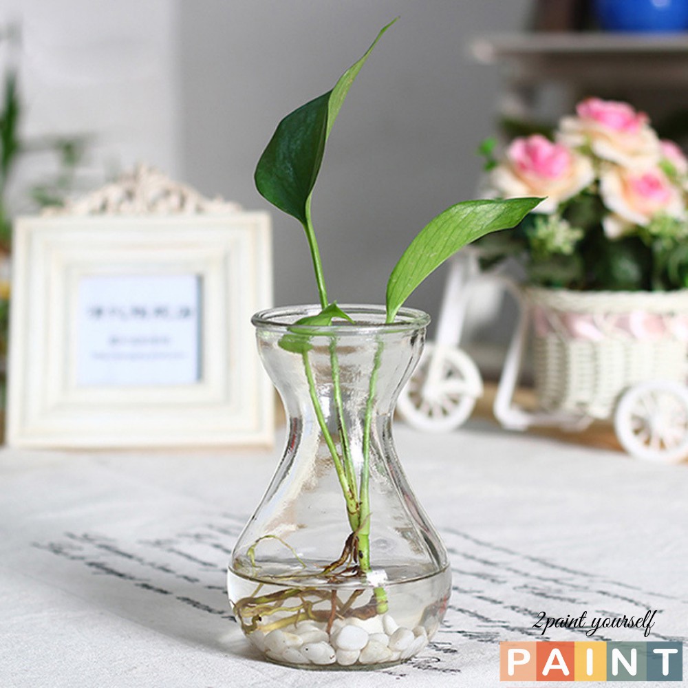 Lọ hoa thủy tinh trong trồng cây thủy sinh, bình hoa Decor | BigBuy360 - bigbuy360.vn