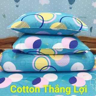 Drap cotton Thắng Lợi