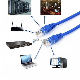 Dây nhảy path cord cat6 3-5 mét