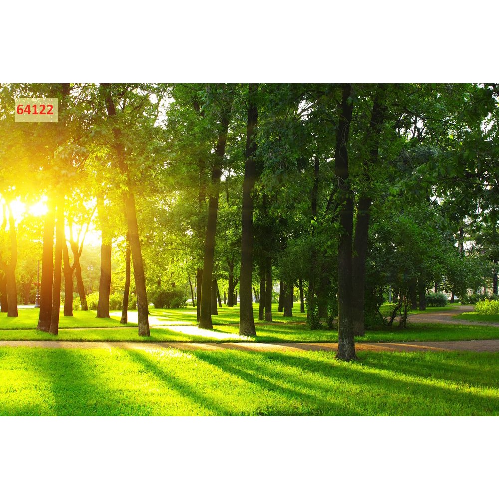 Tranh dán phòng khách, phòng ngủ, phòng ăn chủ đề danh lam thắng cảnh nổi tiếng thế giới