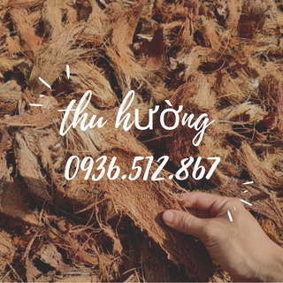 Xơ dừa miếng trồng hoa lan-đã qua xử lý