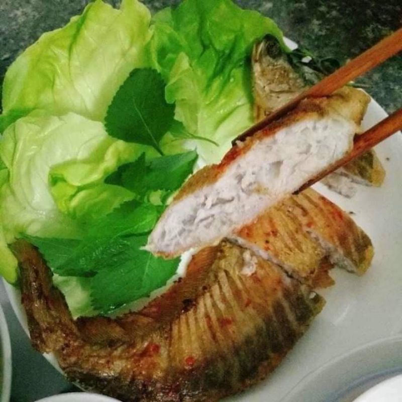 Giá sỉ Cá thác lác rút xương nguyên con loại lớn. . Giao HCM trong 1 giờ.