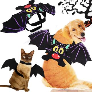 Trang phục hóa trang Halloween hình cánh dơi cho thú cưng