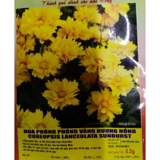 HẠT GIỐNG HOA PHÒNG PHÒNG VÀNG - GÓI 0,5 GRAM