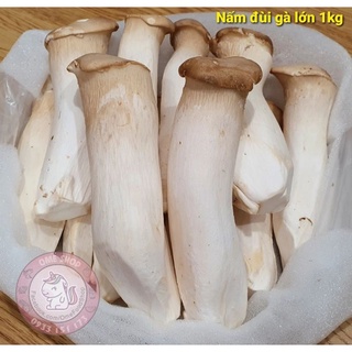 Nấm đùi gà lớn 1kg