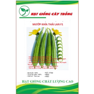 Hạt giống mướp khía f1 thái lan ct32 - gói 10 hạt
