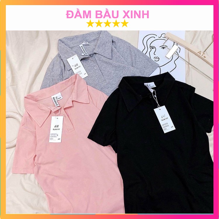 Váy Polo Trơn Pastel Nữ Đầm Cổ Sơ Mi Dáng Ôm Body Chất Thun Cộc Tay Ba Màu Ulzzang | BigBuy360 - bigbuy360.vn