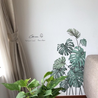 Decal dán tường lá cọ Hàn quốc