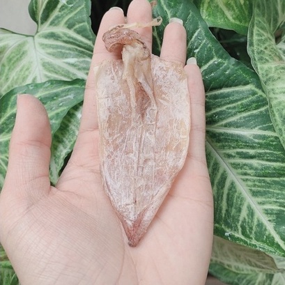 MỰC KHÔ CÂU MINI TÚI 15CON Size 60-80CON/KG | BigBuy360 - bigbuy360.vn