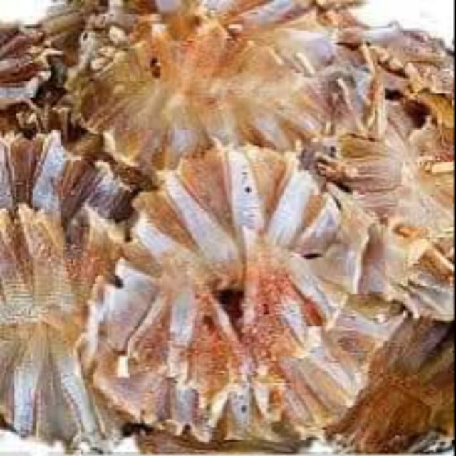 Cá đuối khô tẩm gia vị  Trọng lượng 1kg  xuất xứ Gò Công  hạn sử dụng 6 tháng ☘️☘️☘️   Khô cá đuối rất tiện dùng vì...