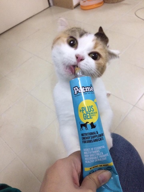 🐶🐱Gel dinh dưỡng Petme Plus Gel dành cho cún mèo💦