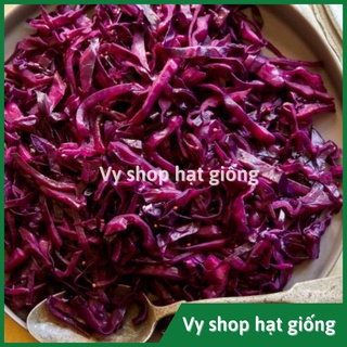 Hạt giống bắp cải tím gói 170 hạt