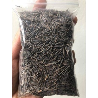 Hạt giômgs hoa cánh bướm.shop thu