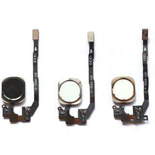 Cáp home liền mạch iphone 5s