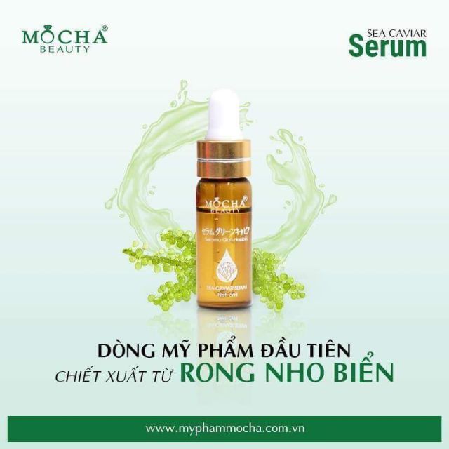 Serum RONG NHO tái tạo da Mocha