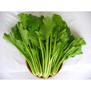Hạt giống Cải Ngọt Cọng Xanh