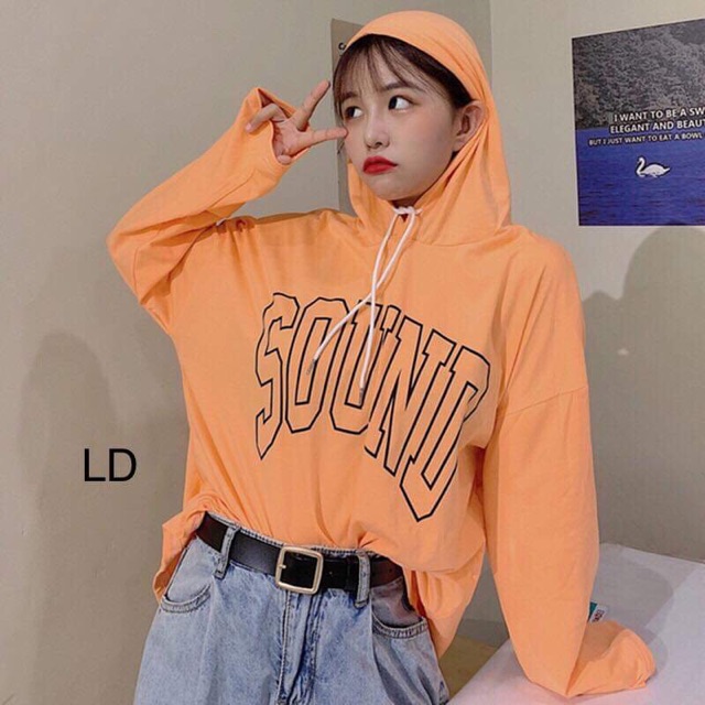 [FREESHIP ĐƠN TỪ 50K] Áo hoodie SOUND chữ ngực LDU1019