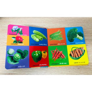 Sách - 101 First Words - Plants (101 Từ Đầu Tiên - Thực Vật - Song Ngữ Anh Việt)