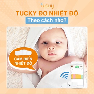 Nhiệt kế thời gian thực TUCKY
