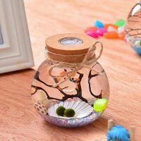 Set Đèn Led Marimo Tảo Cầu Nhật Bản