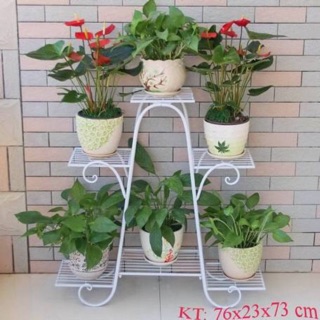 Combo 2 cái kệ cây 6 tầng