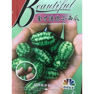 Hạt giống dưa hấu tí hon nhập khẩu đài loan nguyên bao bì