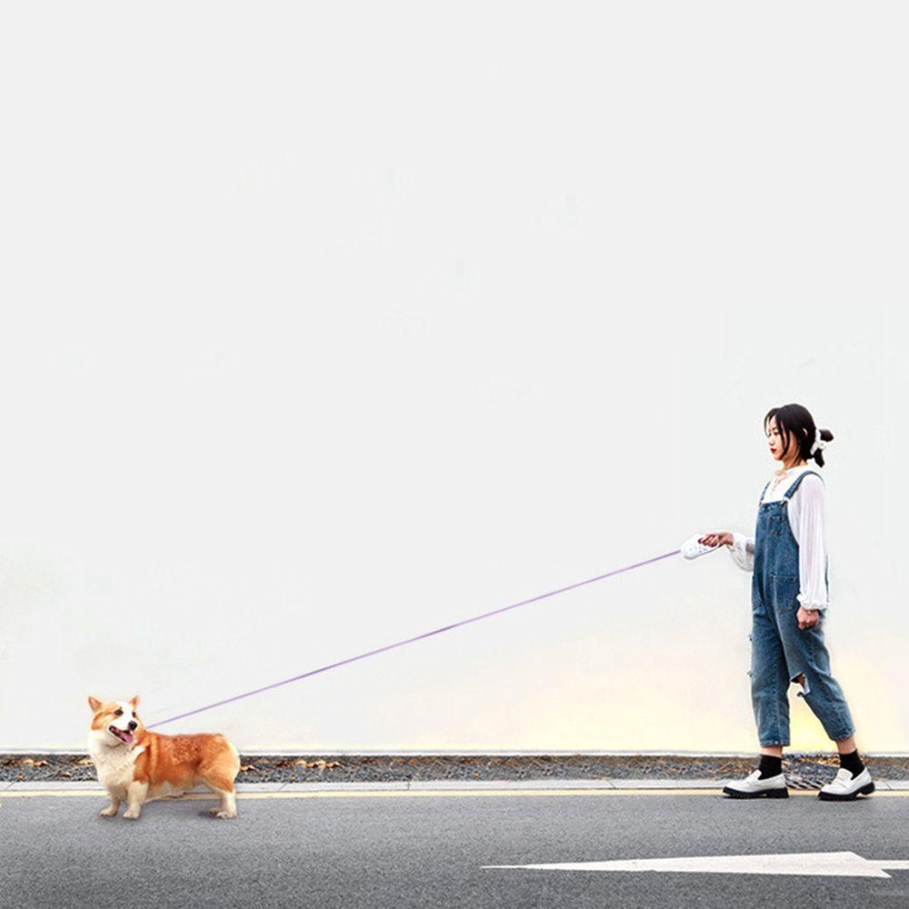 Dây Dắt Thú Cưng Đi Dạo Có Đèn Led Phát Sáng Thời Trang